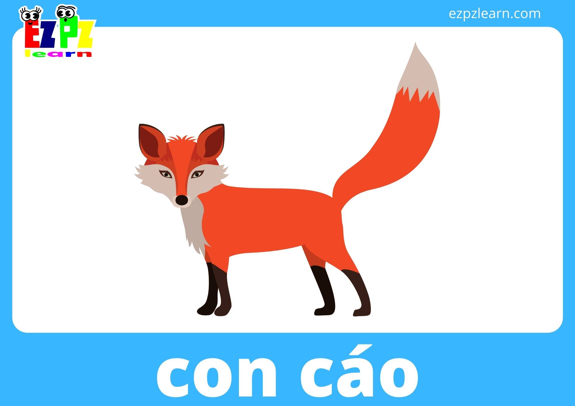 con cáo